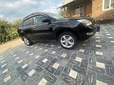 лехсу: Lexus RX: 2004 г., 3.3 л, Автомат, Газ — 9