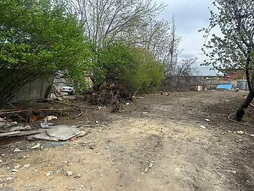 su satan yerler: 10 sot, Tikinti, Maklerlər narahat etməsin, Kupça (Çıxarış) — 3
