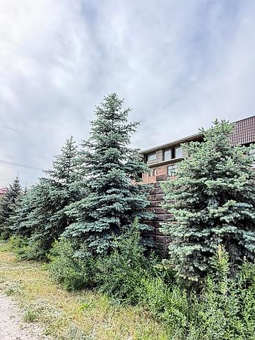Продажа зданий: Здание, 1300 м² — 5