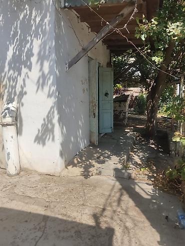 alatava 2: Obyekt tam senedli kubca. 32 kv.yun pambiq darama sexi kimi fealiyyet — 6