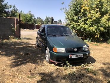 муссо спорт: Volkswagen Polo: 1999 г., Хэтчбэк — 8