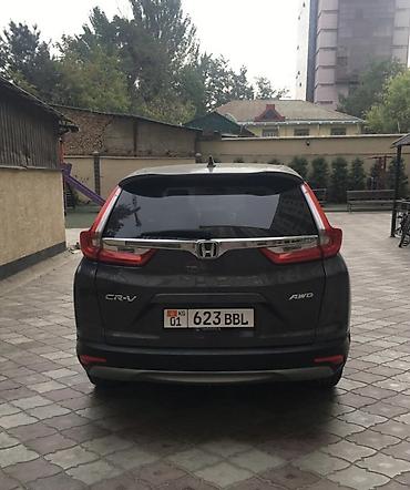 honda cvr: Honda CR-V: 2019 г., 1.5 л, Автомат, Кроссовер — 2