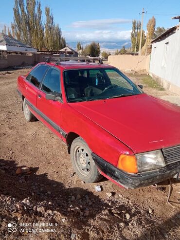 Audi: Audi 100: 1987 г., 2 л, Механика, Бензин