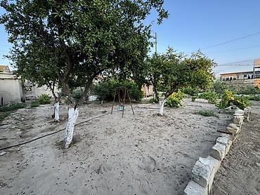 Həyət evləri və villaların satışı: Bismillah Hərkəsə Salam 10 Sot Torpaq Satıram 113 Nömrəli Məktəbə — 9