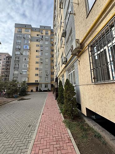 Продажа квартир: 3 комнаты, 82 м², Элитка, 1 этаж, Евроремонт — 14