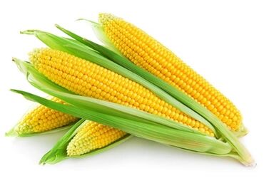 семенов кукурузы: Жүгөрү