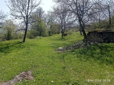 ləhic bağları torpaq: 8 sot, Tikinti, Kupça (Çıxarış)