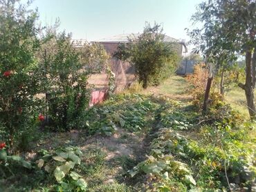 Həyət evləri və villaların satışı: 4 otaqlı, 121 kv. m, Kredit yoxdur, Yeni təmirli — 9