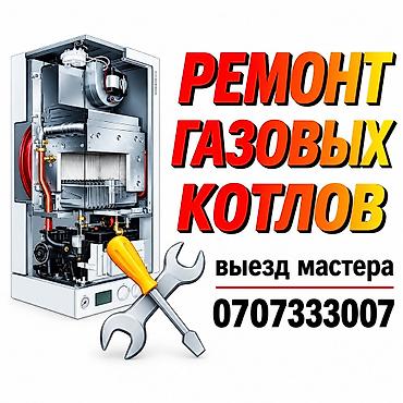 Ремонт газовых котлов.установка и чистка дымоходов газовых