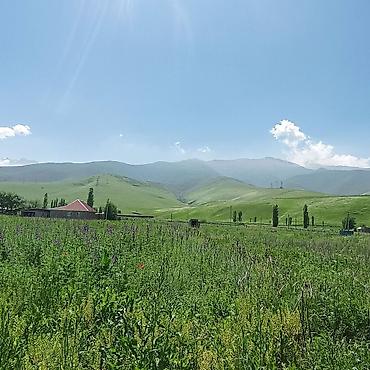 33 соток, Красная книга
