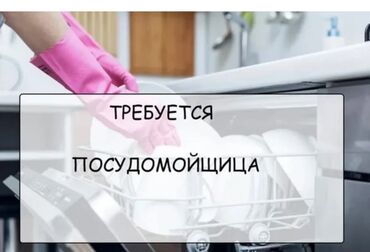официант на ночь: Требуется Посудомойщица, Оплата Ежемесячно