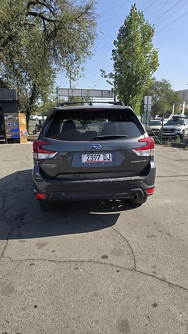 Subaru: Subaru Forester: 2020 г., 2.5 л, Вариатор, Бензин, Кроссовер — 4