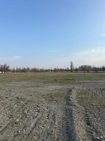 токмак: 280000 соток, Для бизнеса, Красная книга — 4