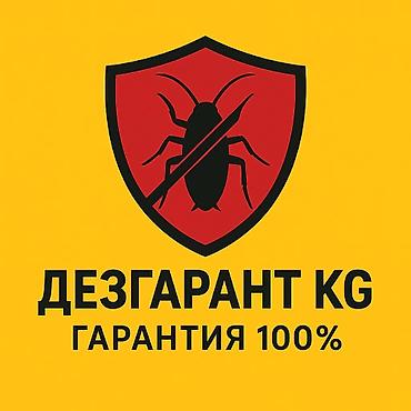 Дезинфекция, дезинсекция: Дезинфекция, дезинсекция, | Клопы, Блохи, Тараканы, | Транспорт, Офисы, Квартиры — 2