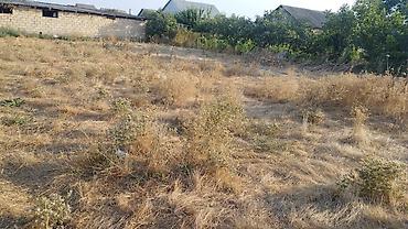 ev alqi satqisi kirayesi: 1 otaqlı, 24 kv. m, Kredit yoxdur, Təmirsiz — 7