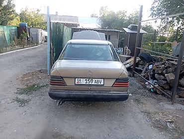 мерседес т 1: Mercedes-Benz 220: 1988 г., 2 л, Кол менен иштөөчү, Бензин — 6