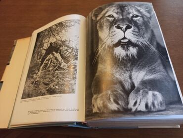 Knjige i stripovi: BREM Kako žive životinje Dobro očuvana knjiga iz 1967g. Izdavač — 6