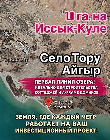 уланит: 100 соток, Генеральная доверенность — 4