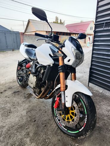 зеркала на мотоцикл купить: Benelli 600куб. новые свечи, новая резина, обслужен
