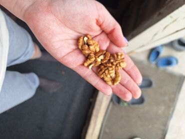 Азык-түлүктөр: Продаю светлые орехи