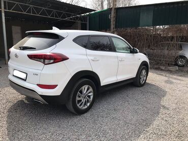 Hyundai: Hyundai Tucson: 2018 г., 1.7 л, Автомат, Дизель, Внедорожник — 10