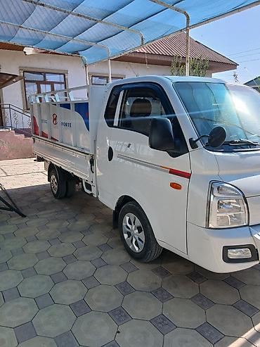 хово 310: Легкий грузовик, Hyundai, Стандарт, 3 т, Новый — 2