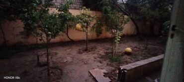 Uzunmüddətli kirayə mənzillər: Oglanlara kirə ev — 21