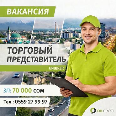 high experience: Вакансия: Торговый представитель (г. Бишкек) Компания в связи с — 1