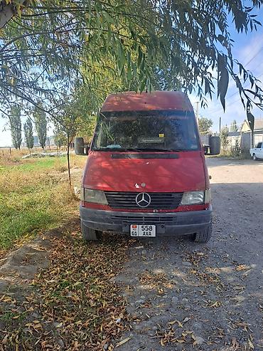 lync co: Mercedes-Benz M-class AMG: 2000 г., 2.9 л, Механика, Дизель, Бус — 4