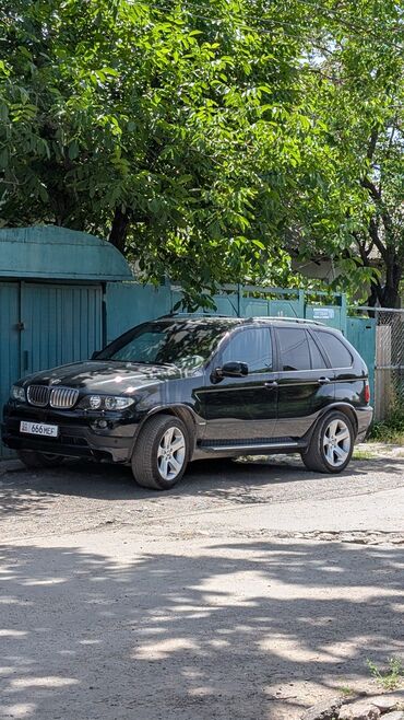 химия для мойки двигателя: BMW X5: 2004 г., 3 л, Автомат, Бензин, Внедорожник