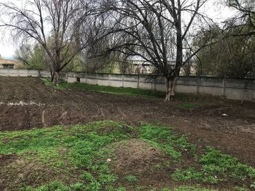 Продажа участков: 2600 соток, Тех паспорт, Генеральная доверенность, Красная книга — 7