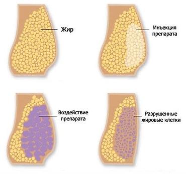 салон ош: Косметология, Мезотерапия, Консультация — 6