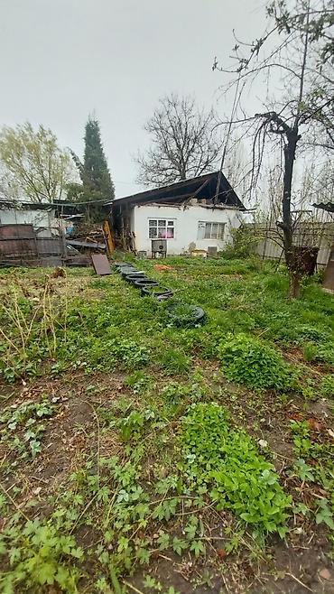 Продажа дач: Срочно продаю ДАЧУ, с.Арашан, ул.Тепловик, участок 5 соток, на участке — 2