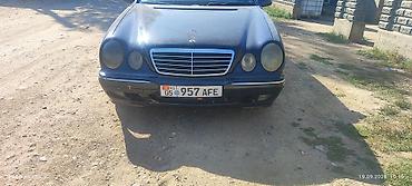 cls 55: Mercedes-Benz E-Class: 2001 г., 3.2 л, Автомат, Бензин, Седан — 8