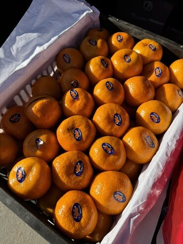 Мандарины: Мандарины — 7