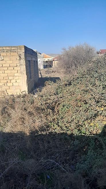 qubada torpaq sahesi satilir: Tikinti, Mülkiyyətçi — 8