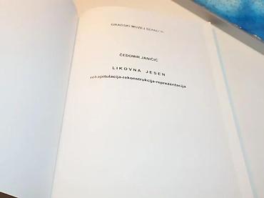 boots: LIKOVNA JESEN ČEDOMIR JaničićLikovna jesen: rekapitulacija — — 3