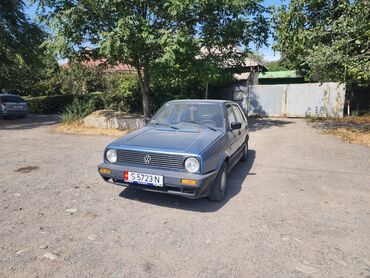 menyayu golf 2: Volkswagen Golf: 1989 г., 1.8 л, Механика, Бензин, Хэтчбэк