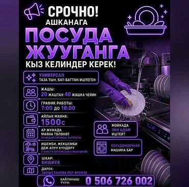 Вакансии: Требуется Посудомойщик, Оплата: Еженедельно — 1