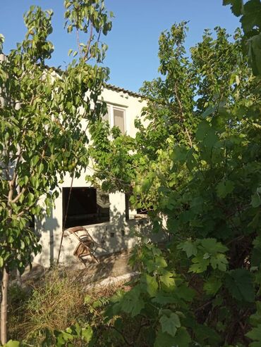 samaxinkada gunluk evler v Azərbaycan | DONLAR: 120 kv. m, 7 otaqlı, | Qaz, İşıq, Su
