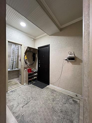 70000: 1 комната, 43 м², Пишпек Элитка, 7 этаж, Евроремонт — 9