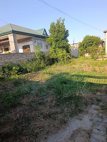 2 ci mikrorayon: 200 sot, Bələdiyyə — 1
