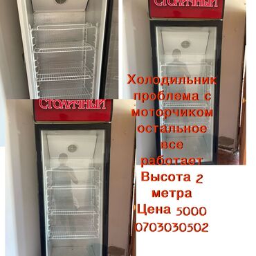 Холодильные витрины: Для напитков, Для молочных продуктов, Россия, Новый