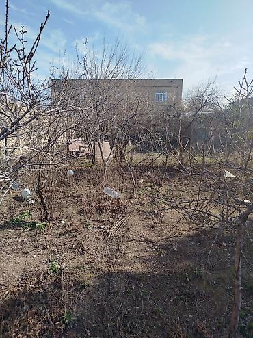 goradil: 4 sot, Tikinti, Maklerlər narahat etməsin, Kupça (Çıxarış) — 10