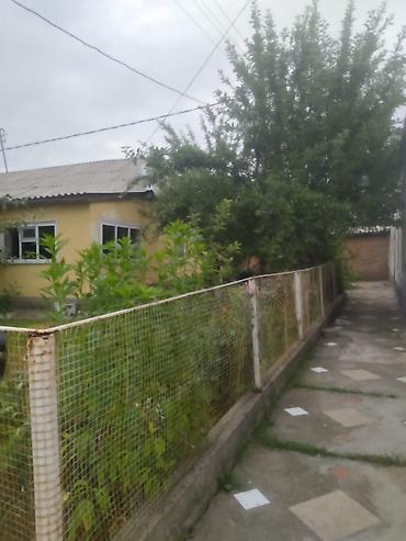 osh hostel: Сдаются 2 дома, можно посуточная, можно на долгий срок. Описание: - — 10