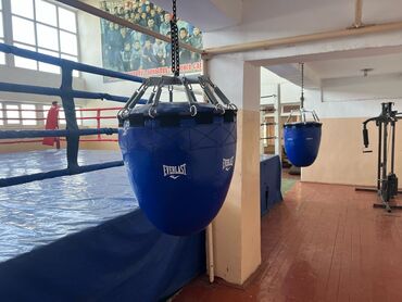 Боксерские груши: Боксёрская груша от Everlast, разработанная для отработки ударов и — 3