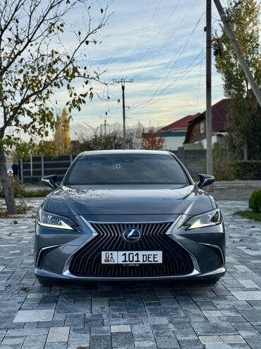 багажник афто: Lexus ES: 2019 г., 2.5 л, Автомат, Гибрид, Седан