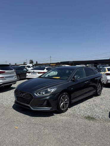 камаро шевроле: Hyundai Sonata: 2019 г., 2 л, Автомат, Гибрид, Седан