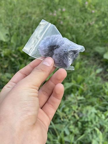 Компьютер жана ноутбук аксессуарлары: Беспроводная петличная система для смартфона Комплект: - Приёмник RX — 5