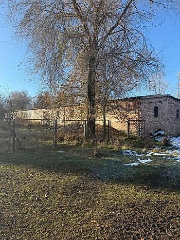 Продажа складов и мастерских: Продам Кошару, продам участок, на красной книге с прилегающей — 2